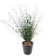Plante artificielle Onion Grass en piquet large - plante pour intérieur - H.60cm vert