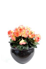 Fleurs artificielles Bgonia mini - plante en piquet - H.20 cm rose