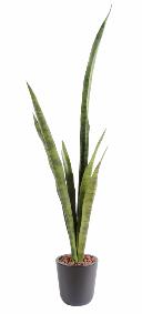 Plante artificielle Sansevieria piquet - succulente pour intrieur - H.105cm vert