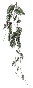 Feuillage artificiel chute de Bégonia Muculata - plante retombante d'intérieur - H.230cm