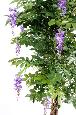 Arbre artificiel fleuri Glycine multi tree - plante d'intérieur - H.150cm parme