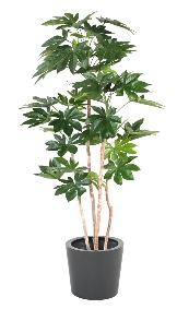 Plante artificielle tropicale Fatsia Japonica - dcoration d'intrieur - H.180cm