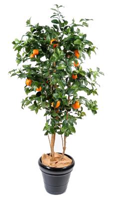 Arbre artificiel fruitier Oranger new - intérieur - H.180cm vert orange