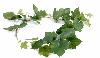 Guirlande artificielle de vigne 34 feuilles - décoration d'intérieur - H.118cm vert