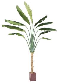 Plante tropicale artificielle Arbre du voyageur - plante intrieur - H.350cm