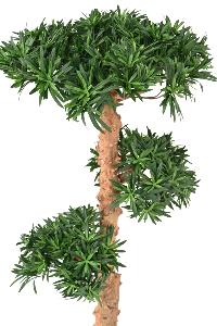 Arbre artificiel Podocarpus nuage - plante artificielle intérieur - H.110cm