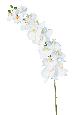 Orchidée artificielle Phalaenopsis 15 fleurs - création bouquet - H.125cm blanc