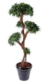 Arbre artificiel Podocarpus Tree 5 ttes - plante artificielle intrieur - H.165cm