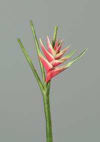 Fleur artificielle Hliconia bec de perroquet - fresh touch haute qualit - H.126cm rose