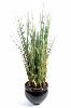 Plante artificielle Herbe luxe Onion Grass en pot - intérieur - H. 125cm vert jaune
