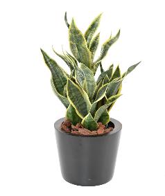 Plante artificielle Sansevieria Masoniana - dcoration d'intrieur - H.66cm vert jaune