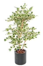Arbre artificiel Ficus Triangularis - plante d'intérieur - H.120cm vert/crème