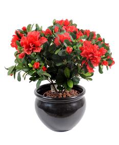 Fleur artificielle Azale en piquet - intrieur - H.35cm rouge