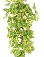 Feuillage artificiel chute de Coleus en piquet - plante verte intérieur - H.75cm