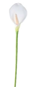 Fleur artificielle Arum haute qualité - composition bouquet - H. 78 cm blanc