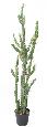 Plante artificielle Cactus Finger F - Plante pour intérieur - H.140cm vert
