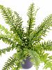 Plante artificielle Fougère Boston en piquet - intérieur - H.65cm Ø.80cm