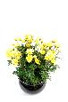 Plante artificielle Marguerite Anthemis - plante d'intérieur - H.40cm jaune