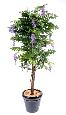Arbre artificiel fleuri Glycine multi tree - plante d'intérieur - H.150cm parme