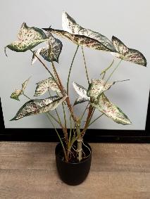 Plante artificielle Alocasia en pot - plante d'intrieur - H.75cm vert rouge