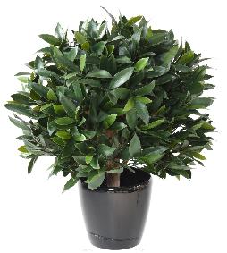 Plante artificielle Laurier boule - feuillage UV rsistant - H.65cm vert