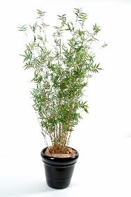 Bambou artificiel Oriental 11 cannes fines - plante d'intrieur - H.100cm