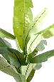 Arbre fruitier artificiel bananier - plante intérieur - H.180cm
