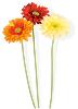 Fleur artificielle Gerbera - composition bouquet artificiel - H.50 cm orange