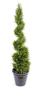 Plante artificielle Cypres spirale - intrieur extrieur - H.130cm vert