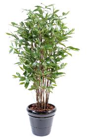 Plante artificielle Dracaena Surculosa - dcoration d'intrieur - H.120cm vert