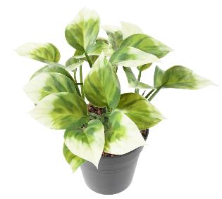 Plante artificielle Philo Bush en piquet - intrieur extrieur - H.25cm vert blanc