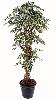 Arbre artificiel Ficus lianes grandes feuilles - plante d'intérieur - H.180cm vert/crème