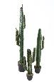 Cactus artificiel Cereus - Plante artificielle pour intérieur - H.160cm vert