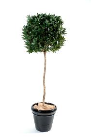 Plante artificielle Laurier boule - dcoration d'intrieur - H.150cm