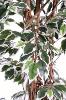 Arbre artificiel Ficus lianes grandes feuilles - plante d'intérieur - H.180cm vert/crème