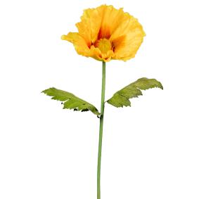 Fleur artificielle XXL pavot gant - dcoration d'intrieur - H.135cm jaune