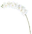 Orchidée artificielle Phalaenopsis 15 fleurs - création bouquet - H.125cm blanc