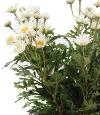Plante artificielle Marguerite Anthemis - plante d'intérieur - H.40cm Blanc