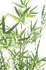 Bambou artificiel arbuste cannes vertes - plante d'intérieur - H.90cm vert