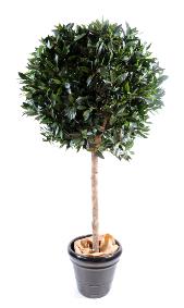 Plante artificielle Laurier boule luxe - topiaire jardin franais - H.180cm