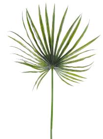 Feuillage artificiel Camerus palme PLAST- intrieur extrieur - H.130cm