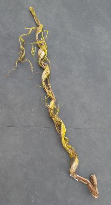 Liane artificielle Branche carton trempé avec mousse - déco d'intérieur - H.134cm