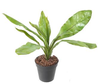 Plante artificielle Asplenium en piquet -plante d'intrieur - H.45cm vert
