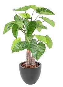 Plante artificielle tropicale Alocasia 3 troncs - dcoration d'intrieur - H.130cm vert