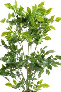 Plante artificielle Palissandre résistant UV - décoration d'extérieur - H.120cm vert