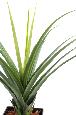 Plante artificielle tropicale Pandanus - décoration pour intérieur - H.140cm