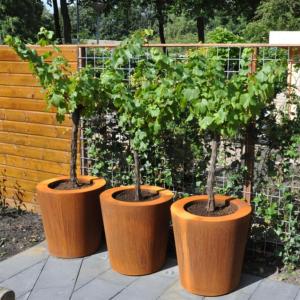 Pot pour fleur bac conique Cado rouillé - extérieur jardin - H.80xØ.100cm Corten