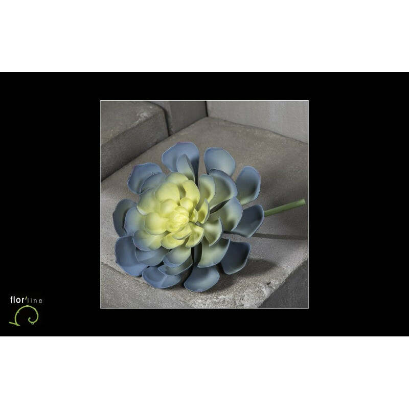 AEONIUM EN PIQUET - Décoration d'intérieure - GRIS PERLE ET JAUNE - h.24cm - S4