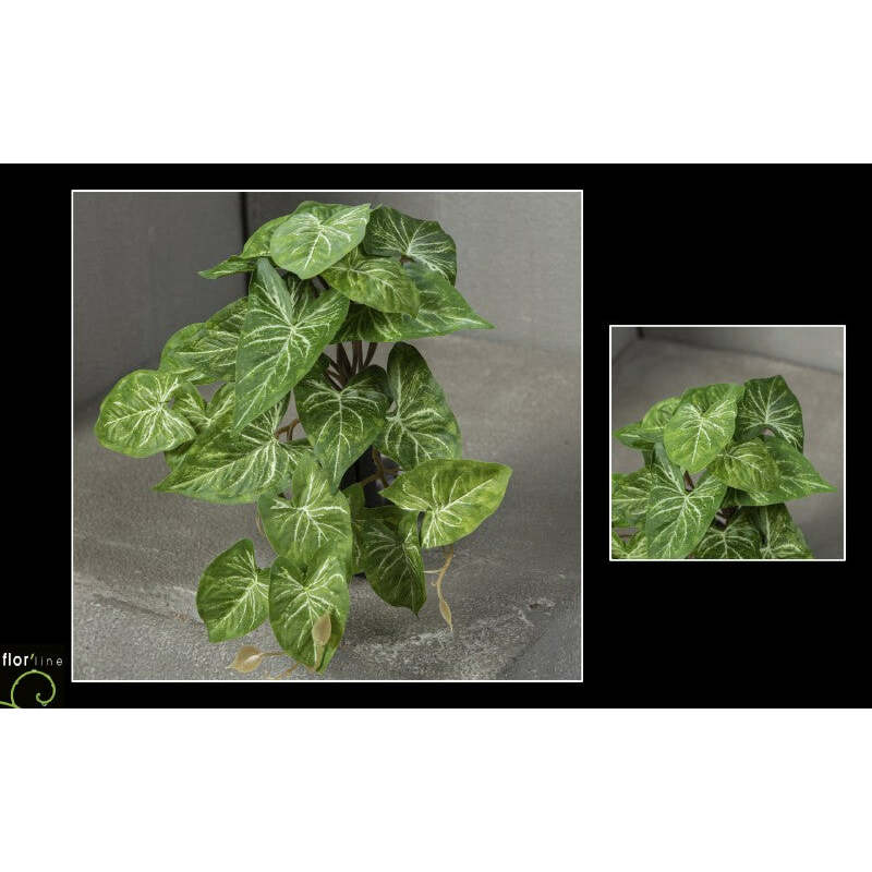 Chute artificielle de syngonium - décoration intérieure - H.18 cm - panaché - R1