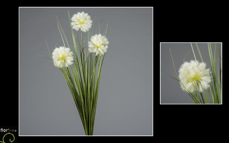 Bouquet d'allium en piquet - vert creme 3 tiges - décoration d'intérieur - H.80cm - S4